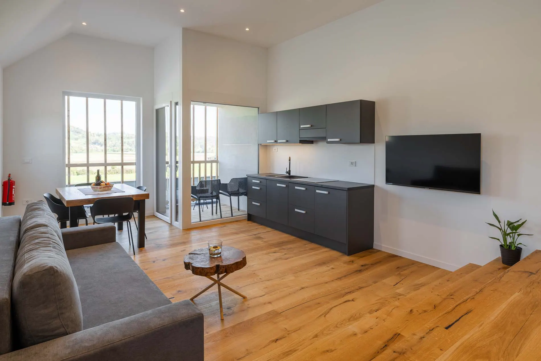 Apartma Vina Gora 2+2