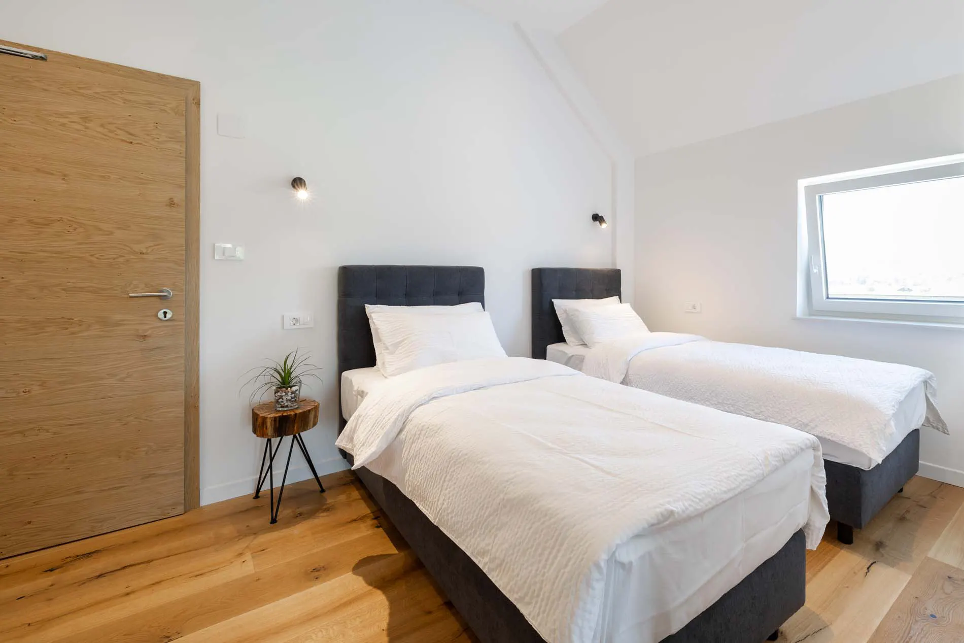 Apartma Vina Gora 2+2 - slika 2